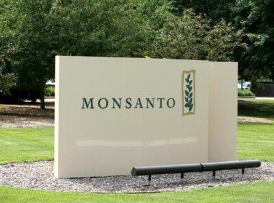 monsanto trans fat