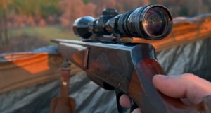4 Reasons To Choose A Low Power Rifle Scope