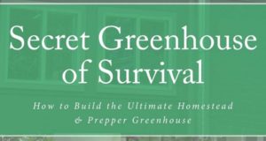 ‘Camouflaged Greenhouse’ Provides Food And Secrecy, Author Says