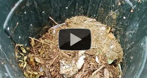 Easy Compost System