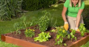 6 Steps To Make Gardening A Breeze