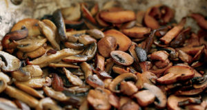 Shiitake Mushroom Growing Secrets For Super Nutrition