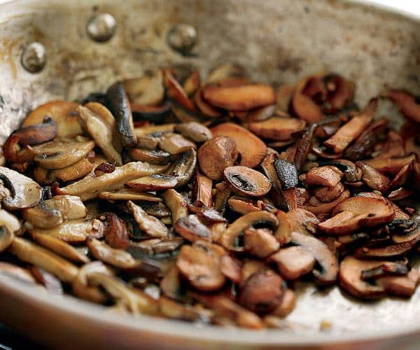 shiitake mushroom eating