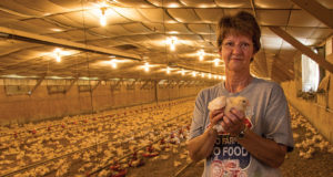 EPA Fines Chicken Farmer $37,500 Each Time It Rains