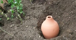 Junk The Water Hose For This Low-Cost Garden Irrigation Method