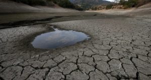 How To Prepare For And Survive Even The Worst Drought