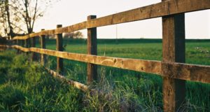A Beginner’s Guide To Choosing The Perfect Fence