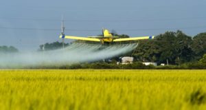 Study Confirms: Herbicide Use Has Soared Under GMO Crops