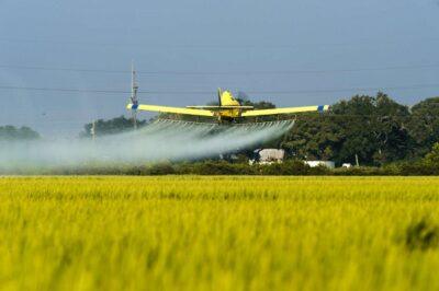 herbicides pesticides gmo study