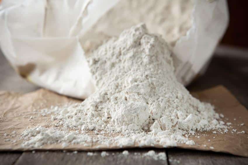 Diatomaceous Earth miracle powder