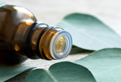 Incredible uses for Eucalyptus Oil