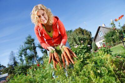 Beginners's guide gardening