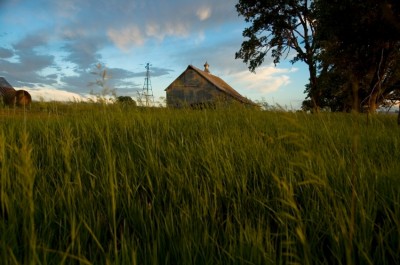 debt self-sufficiency homestead