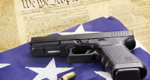 Idaho Tells Feds To ‘Get Lost’ On Gun Regulations