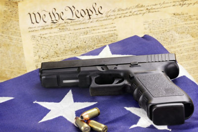state federal gun nullification laws