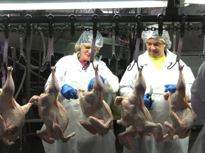 usda poultry inspection rules safety