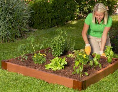 raised garden bed