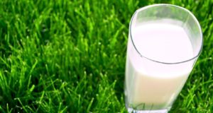 Court Bans Drinking Raw Milk … Even By Cow Owners