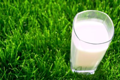 court bans raw milk
