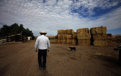 rancher Cliven D. Bundy federal land