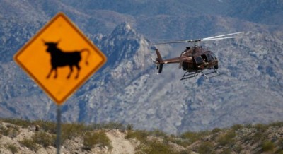 bundy ranch federal agents