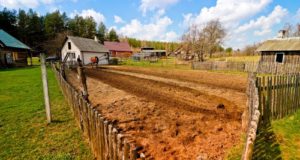 5 Critical Questions Before You Build That Homestead