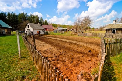 homestead -- first steps