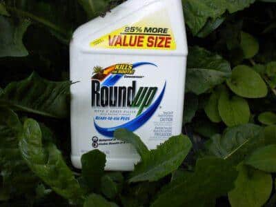 roundup breast milk