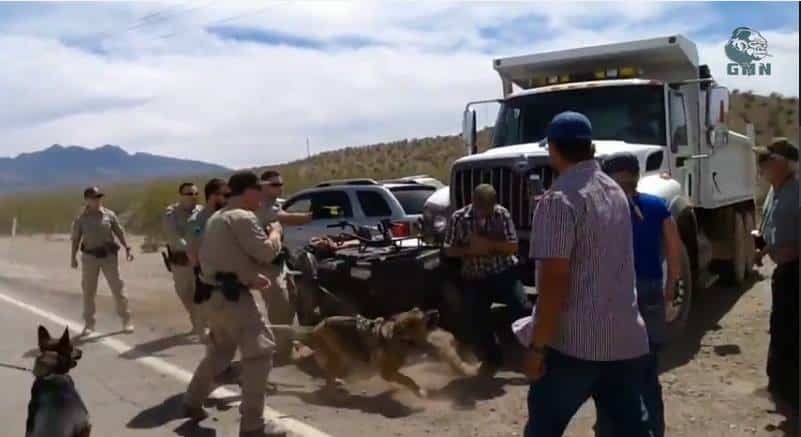 bundy ranch federal agents