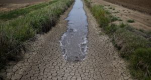 Food Crisis? California’s Farmers Running Out Of Water