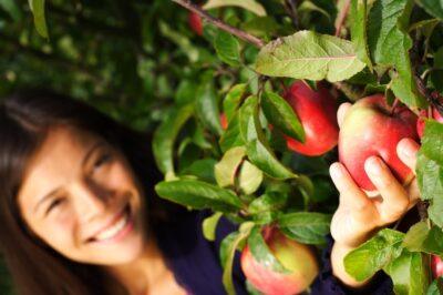 finding free fruit