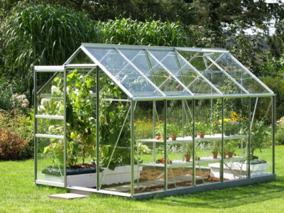 greenhouse growing