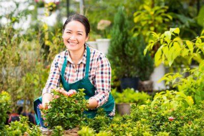 greenhouse secrets