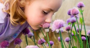 Teach Your Kids Self-Sufficiency With Herbs