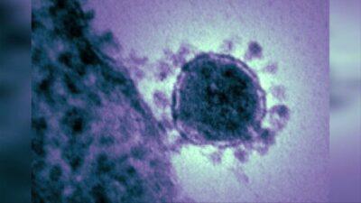 mers spreading