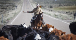 County Defies Feds To Help Ranchers