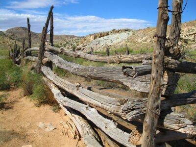 new mexico ranch