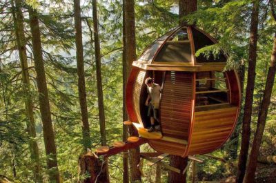 off-grid treehouse
