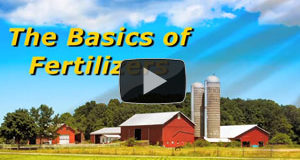 Off The Grid News – Fertilizer How-To