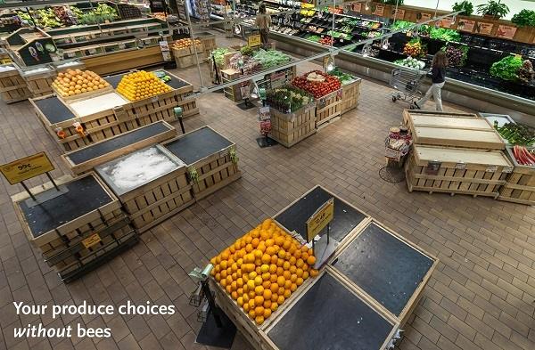 This Is What The Grocery Aisle Would Look Like Without Bees