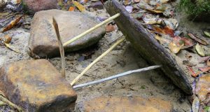 4 Simple Animal Traps For Off-Grid Survival