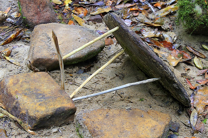 Four Simple Animal Trap Ideas For Off-Grid Survival