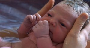 Police Confiscate Healthy Baby Because It Was Born At Home
