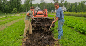 Why The New FDA Manure Policy Is Just Plain BS