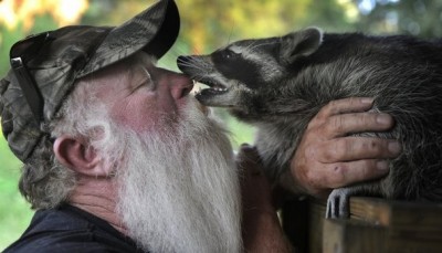 Off-Grid Man Runs For Governor To Get His Pet Raccoon Back