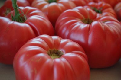 Blue-Ribbon Tomatoes
