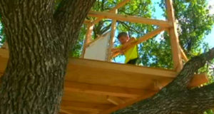 City Demands Homeowner Destroy Kid’s Treehouse