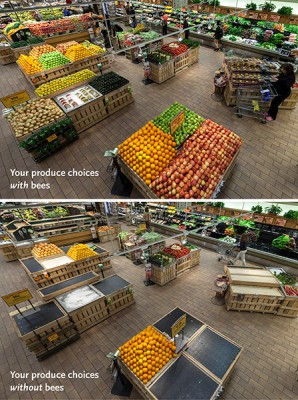 This Is What The Grocery Aisle Would Look Like Without Bees