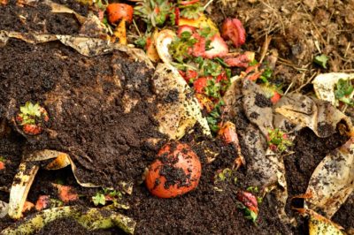 32 Crazy, Unique And Even Odd Things You Can Compost
