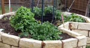 How “Keyhole Gardening” Can Save Your Survival Garden During A Drought